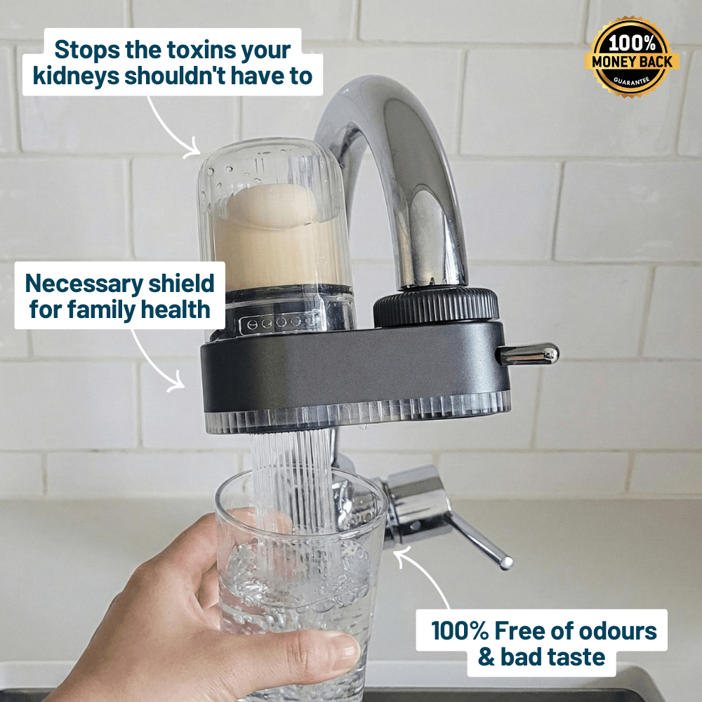 HomeaPure™ Tap Water Filter